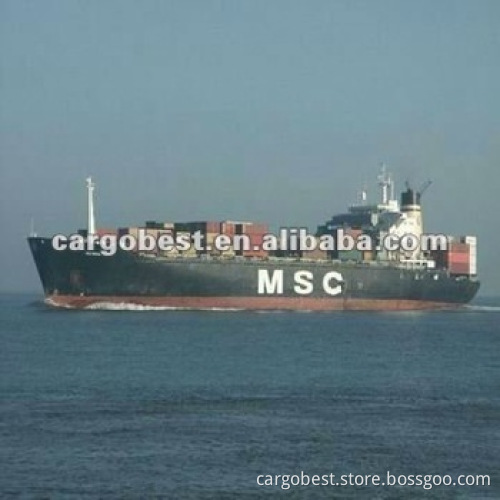 ocean shipping agency from Shenzhen to Durban/Cape Town South Africa -DIANA